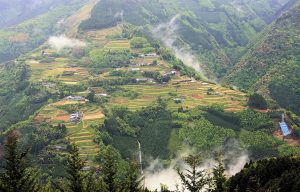 下松尾＿｢雲の上の棚田｣