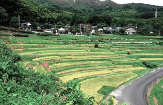 等覚寺1