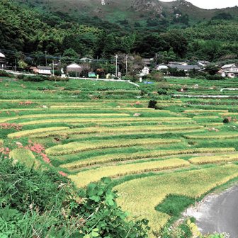 等覚寺1