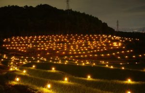 稲倉棚田ライトアップ