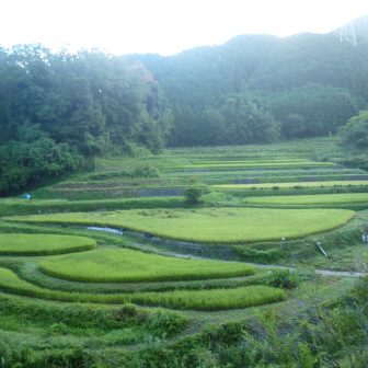 持尾棚田