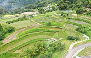 深角棚田1