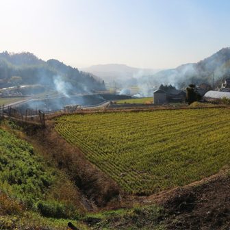平石の棚田