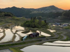 中須北棚田 撮影者：佐伯貴紘　撮影地：山口県周南市中須北　撮影日：2025年4月30日
