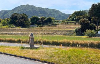 高野の棚田