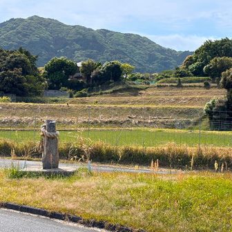 高野の棚田