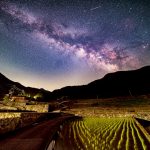 雲仙市ちぢわ棚田/2025年5月撮影/畑山実