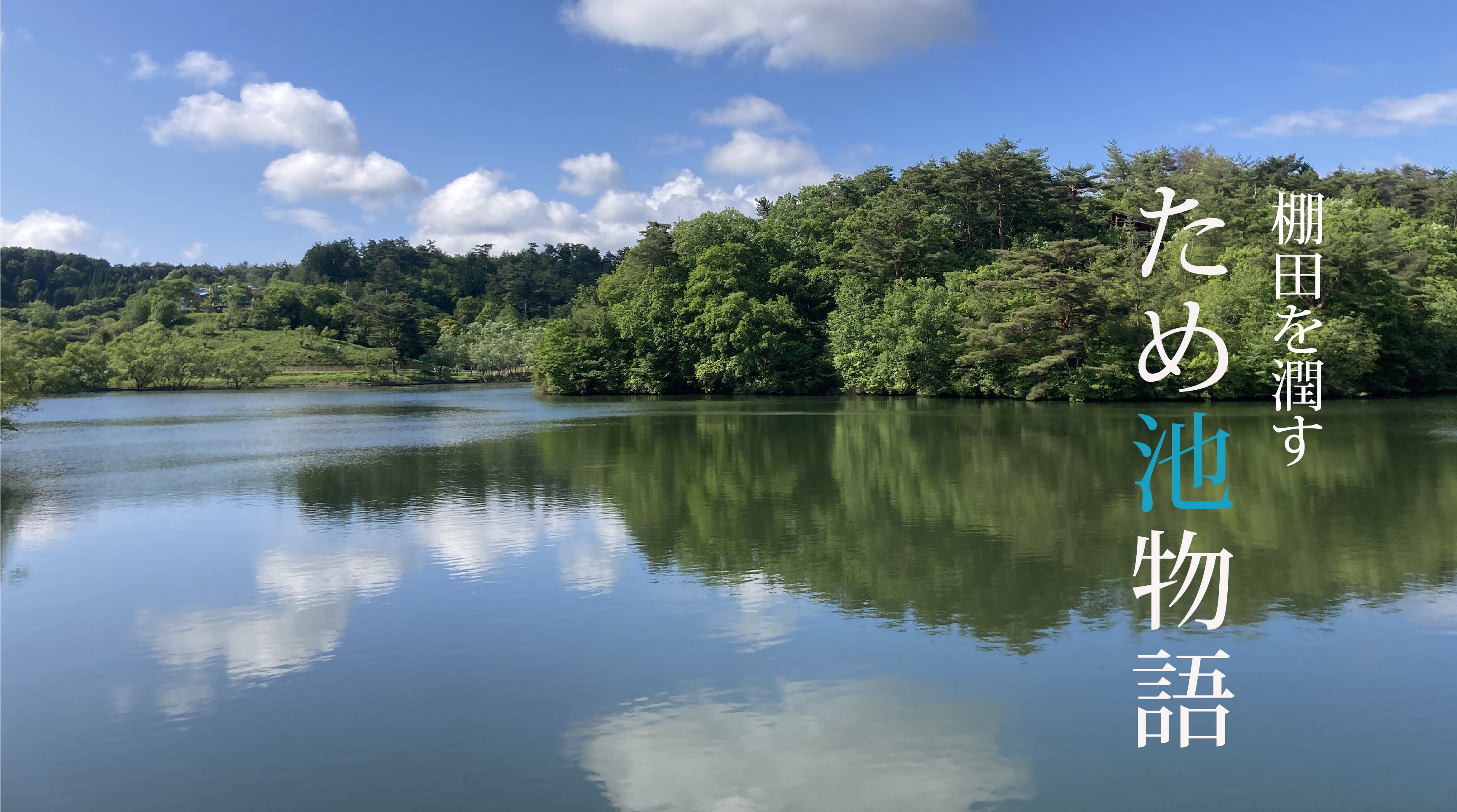 特集 ～棚田を潤す～「ため池物語」 | 棚田NAVI