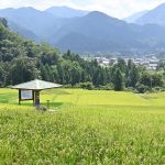 寺坂棚田