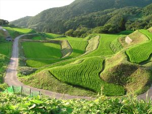 岩首棚田　撮影者　上久保郁夫