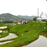 川代棚田　2019年5月　撮影者　上久保郁夫