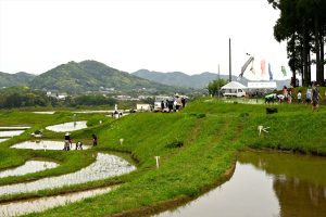 川代棚田　2019年5月　撮影者　上久保郁夫