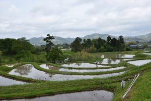 川代棚田　2019年5月　撮影者　上久保郁夫