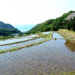 石部棚田2016年　撮影者　上久保郁夫