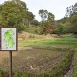 東京町田市「図師の棚田」2018 11 18撮影者　上久保郁夫