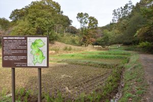 東京町田市「図師の棚田」2018 11 18撮影者　上久保郁夫