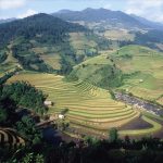 川沿いの棚田　 撮影者：森 公夫　撮影地：ベトナム　撮影日：2014年