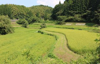 下関谷棚田