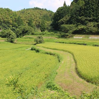 下関谷棚田