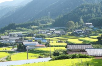 野上_尾崎棚田