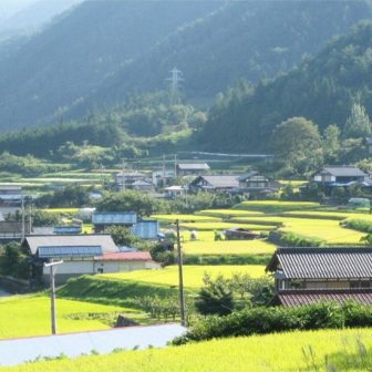野上_尾崎棚田