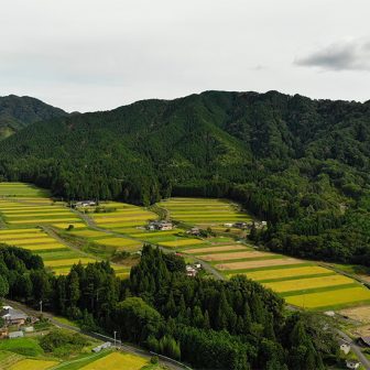 大円寺棚田