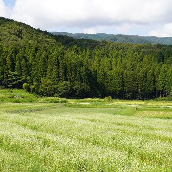 池原