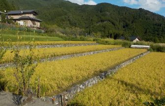 下呂 小川