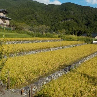 下呂　小川