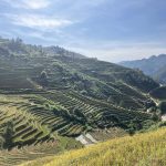 ムーカンチャイの棚田　 撮影者：高木圭子　撮影地：ベトナム　撮影日：2024年10月